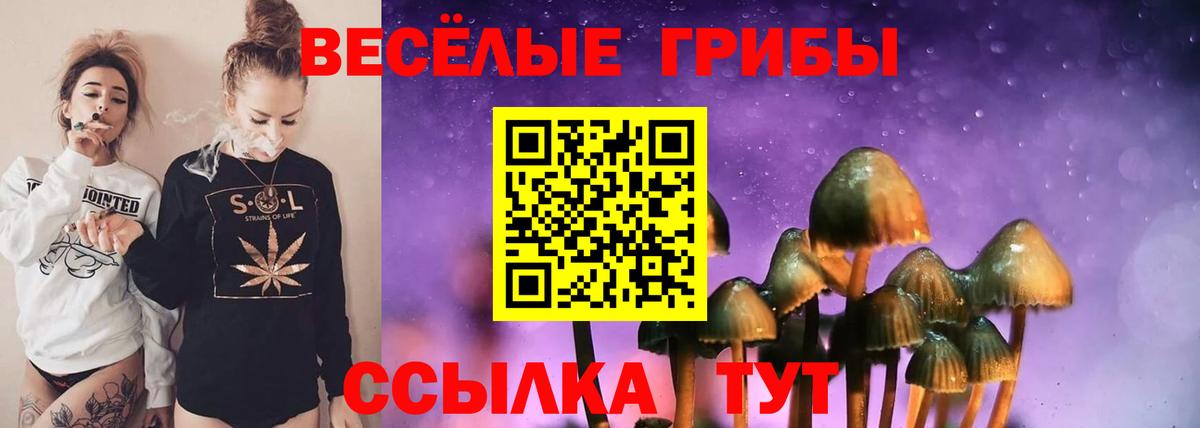 Галлюциногенные грибы MAGIC MUSHROOMS Волгоград